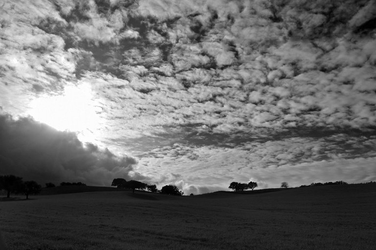 country hills bw 1.jpg