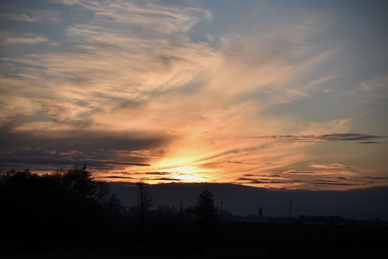 silhouette sunset pl 7.jpg