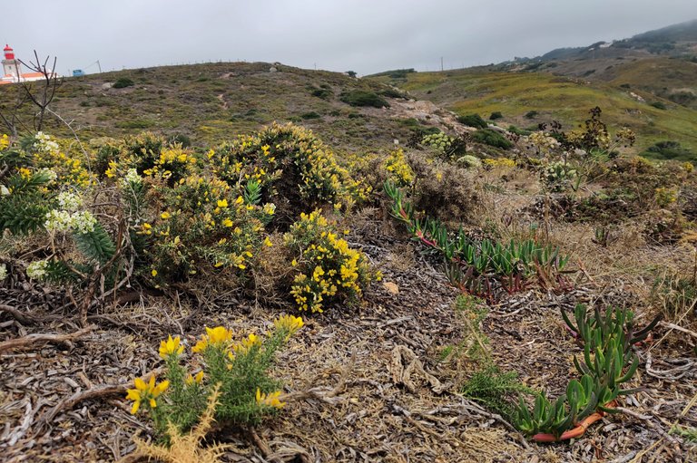 Cabo da Roca 2023 17.jpg