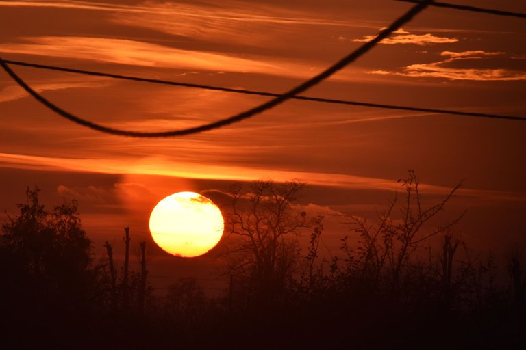 best sunset electric lines pl 8.jpg