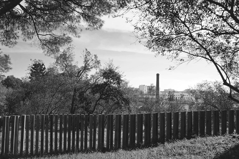 park view zeiss bw 4.jpg