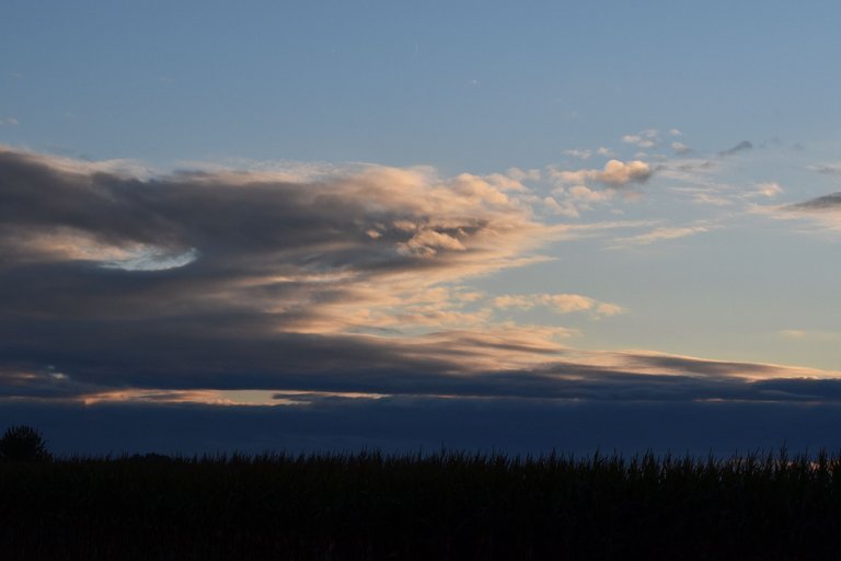 Autumn sunset cornfield 11.jpg