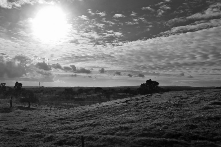 country hills bw 6.jpg