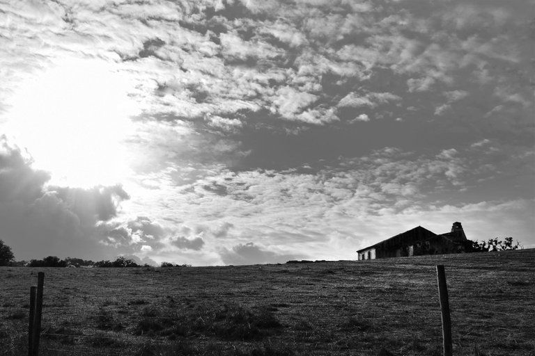 country hills bw 4.jpg