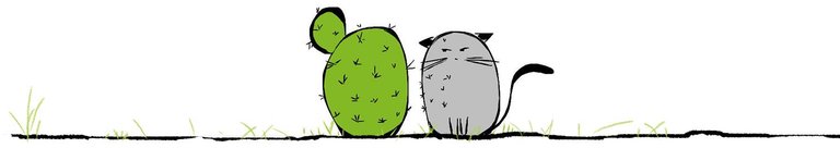 cactus cat banner.jpg