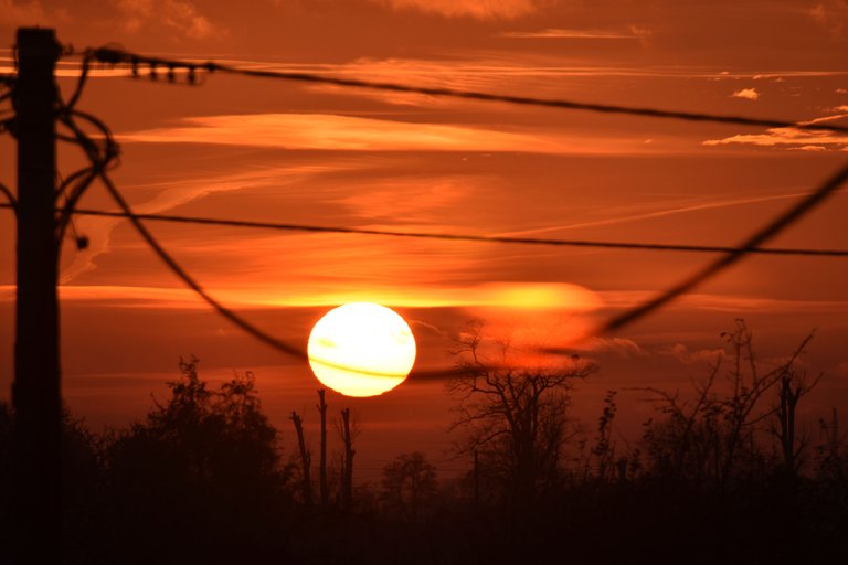 best sunset electric lines pl 6.jpg