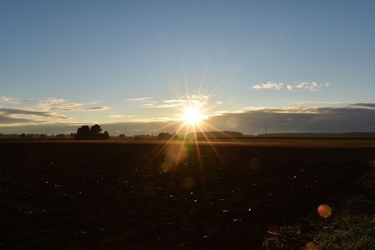 Autumn sunset cornfield 8.jpg