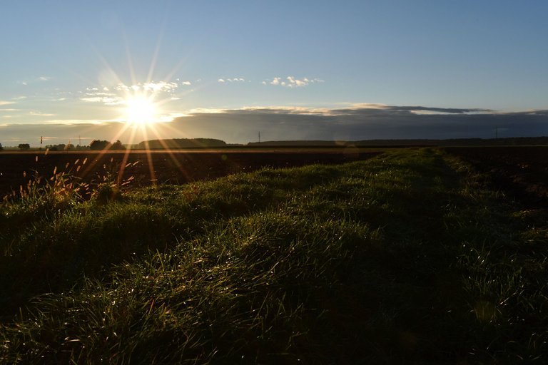 Autumn sunset cornfield 3.jpg