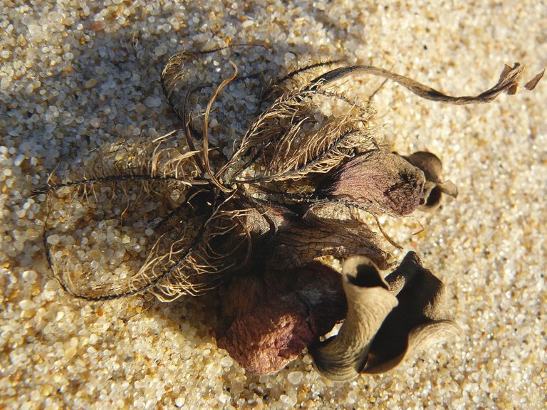 Lagoa de Albufeira Feb 3.jpg