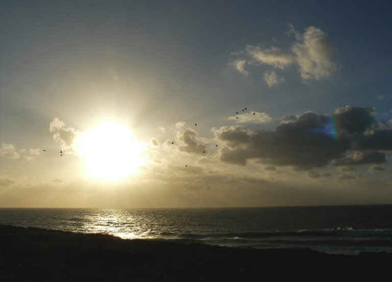 Lagoa de Albufeira Feb 10.jpg