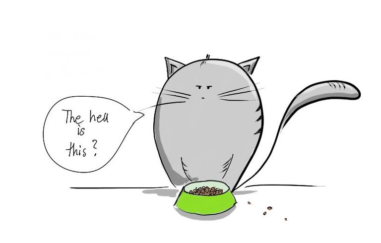 kitty food bowl3.jpg
