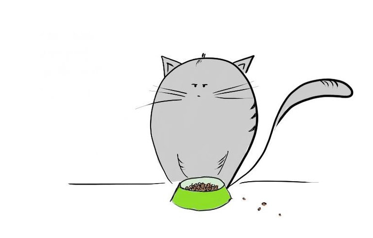 kitty food bowl2.jpg