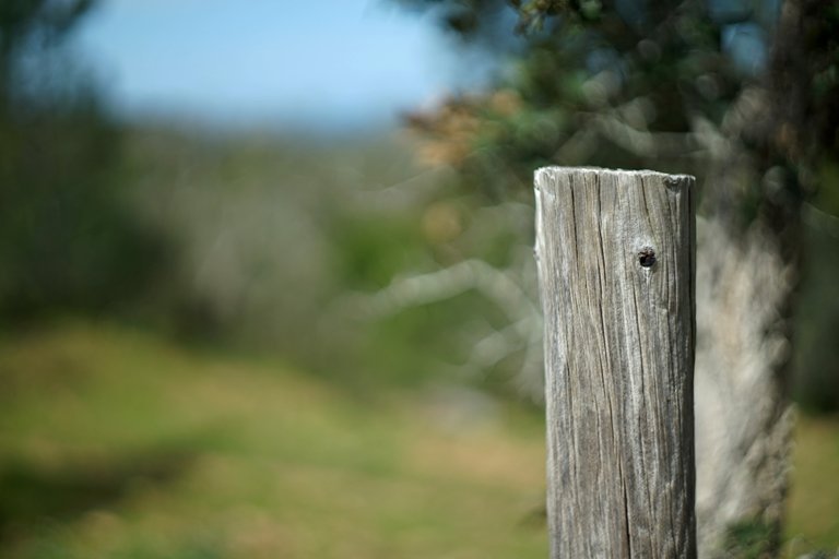 wooden pole barbwire 2.jpg