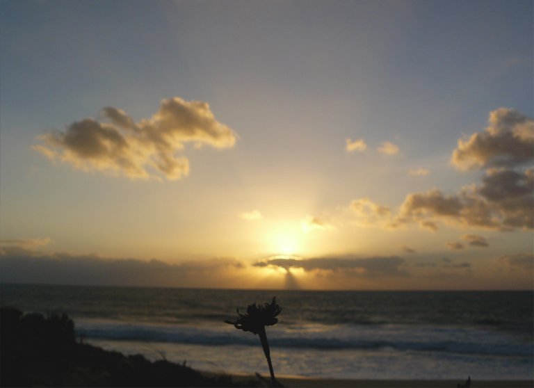 Lagoa de Albufeira Feb 13.jpg