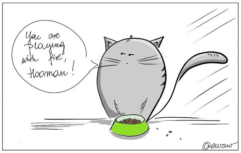 kitty food bowl5.jpg