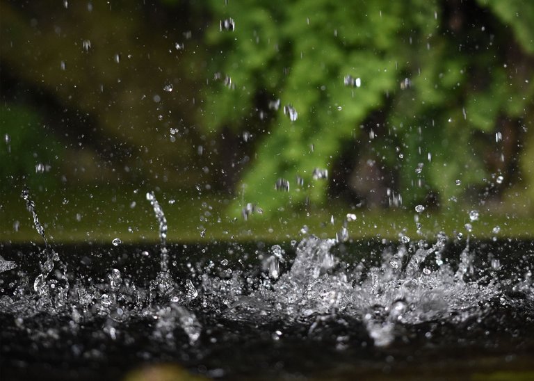 fern waterdrops fountain 3.jpg