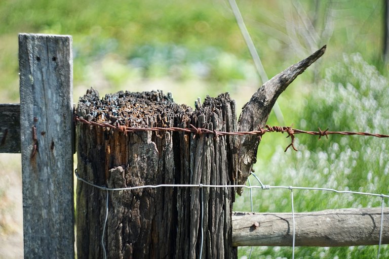 wooden fence barbwire bokeh 3.jpg