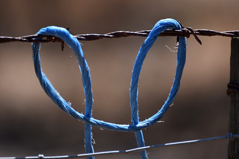 Blue lines fence 1.jpg