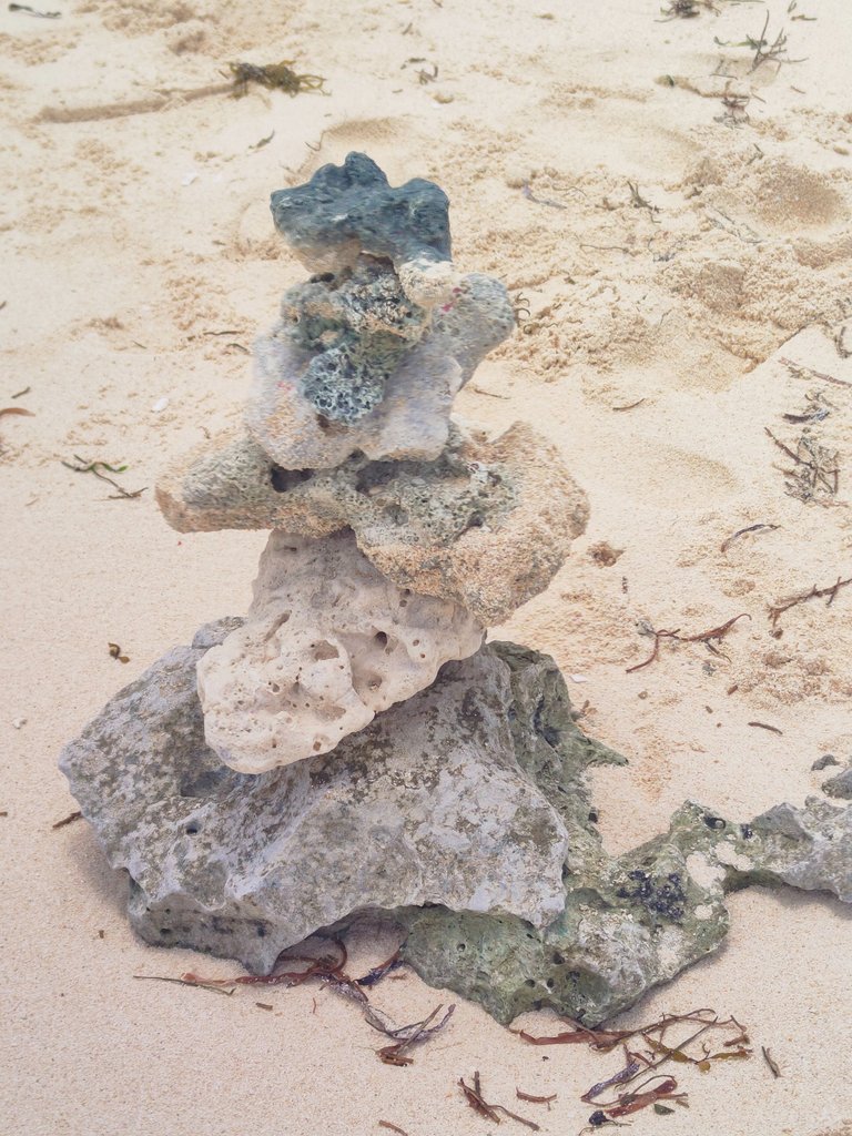 IMG20250409110916.jpg