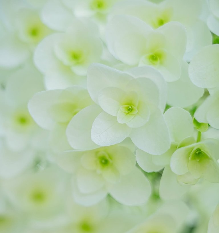 JvFFVmatwWHRfvmtd53nmEJ94xpKydwmbSC5H5svBACH7yWaQt27KasdiEx2354ouMjSCZRTm6aaKnBpnBGH1jfLo4iq6yScp9PbWj7G9ybxynZJDJkuVdEcXdCKZSTHotaZLxU68N.jpeg