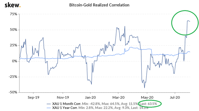 skew_bitcoingold_realized_correlation.png