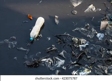 water-pollution-environmental-260nw-423075787.webp