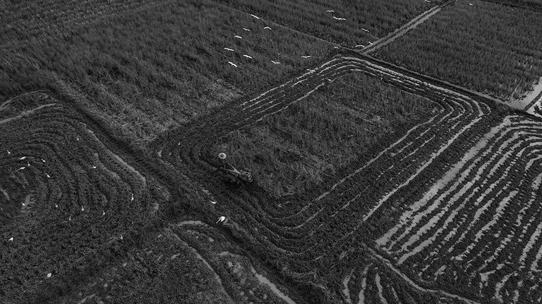 DJI_0624+.jpg