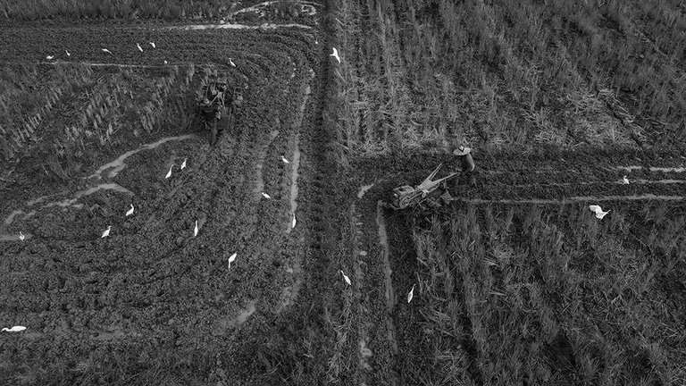 DJI_0600+.jpg