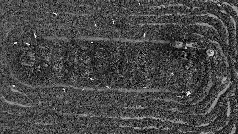 DJI_0661+.jpg