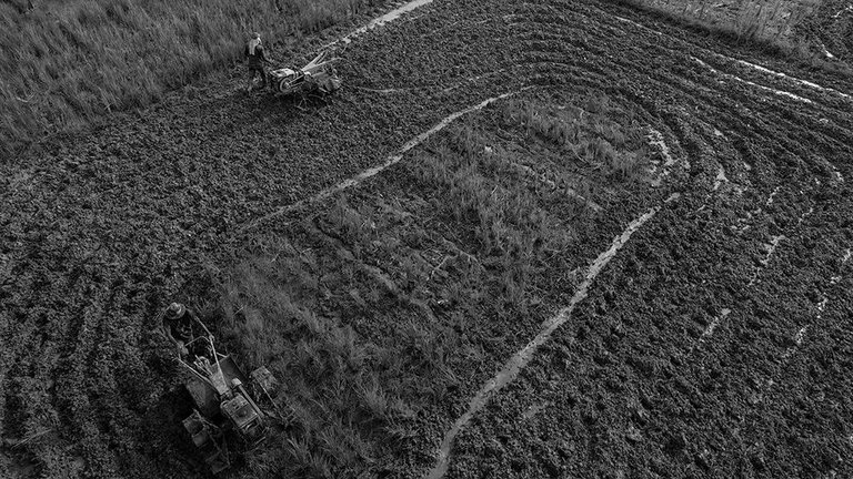 DJI_0638+.jpg