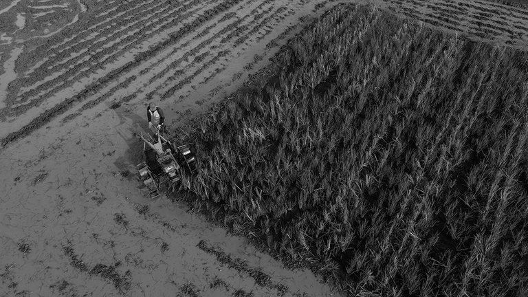 DJI_0642+.jpg