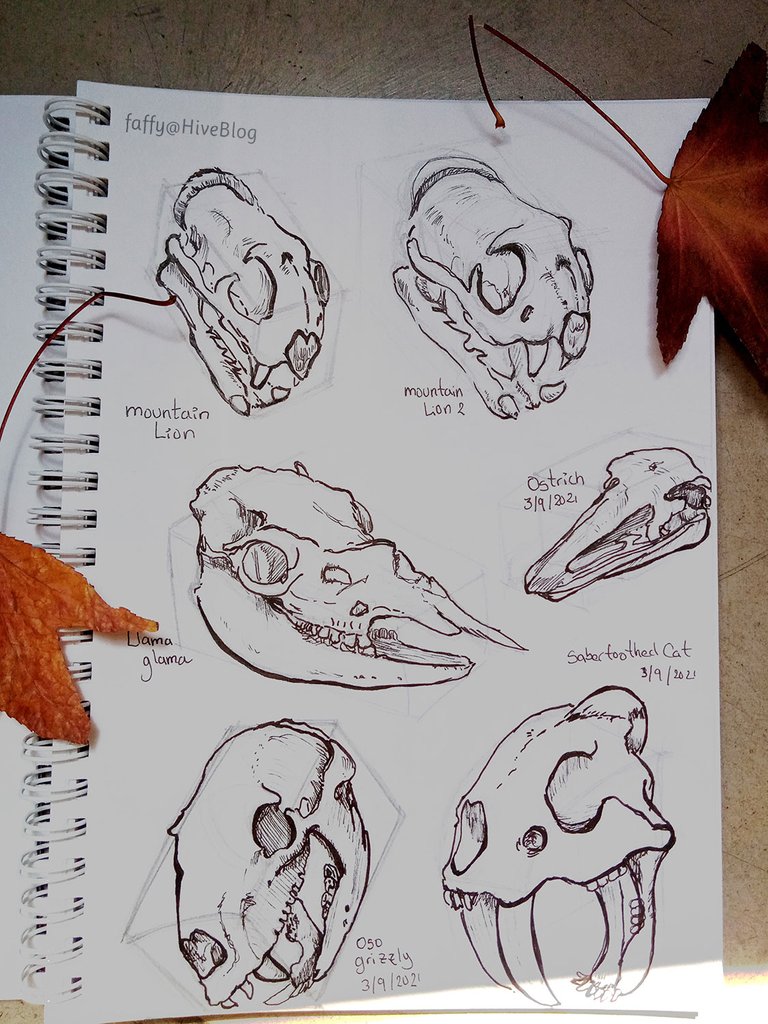 skulls1111.jpg