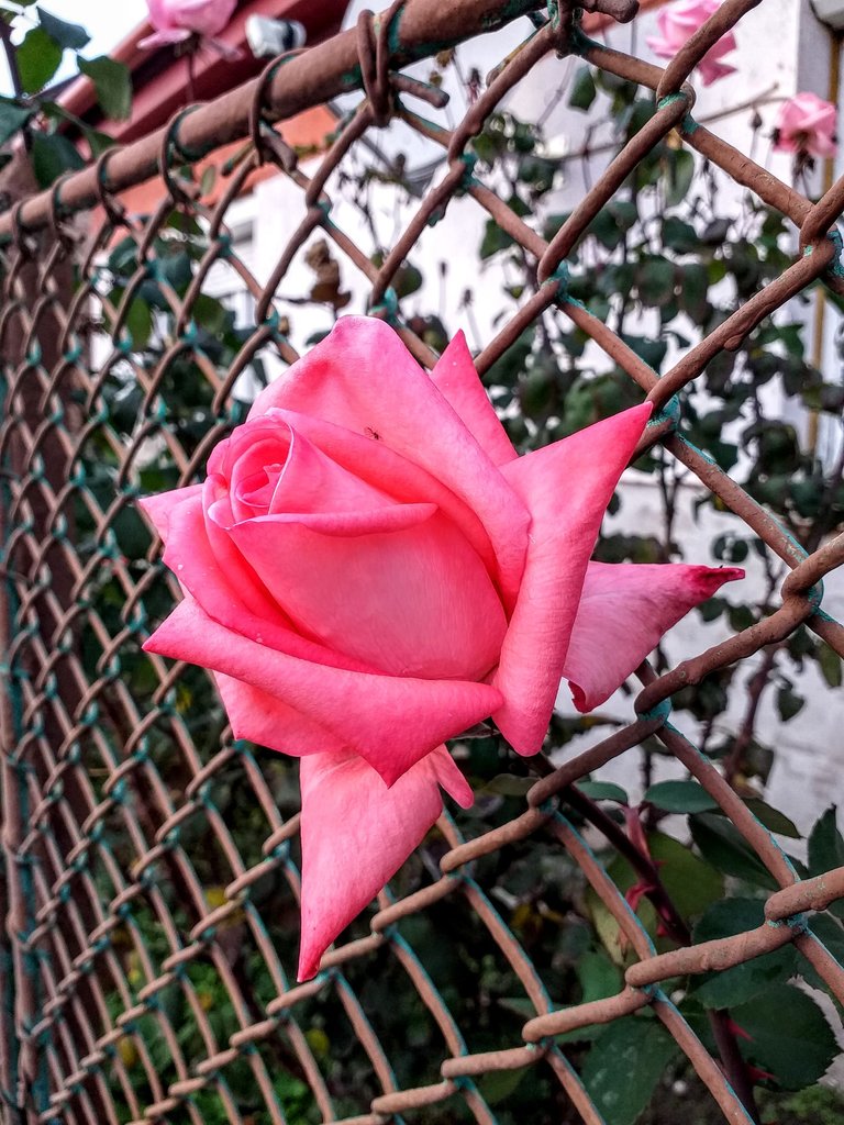 20221024_171208.jpg