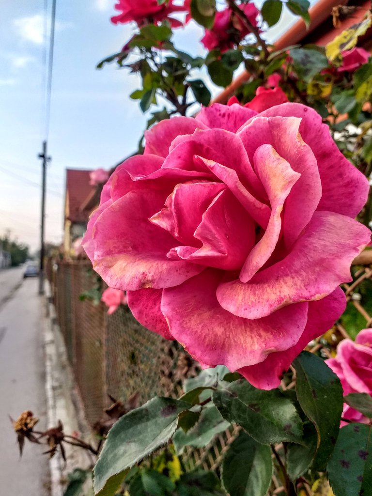 20221024_171141.jpg