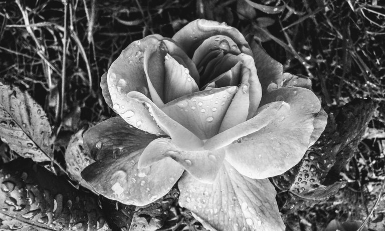 20160514_134547.jpg