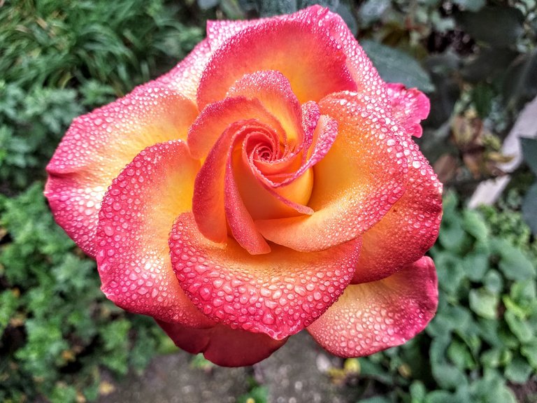 20221029_145403.jpg