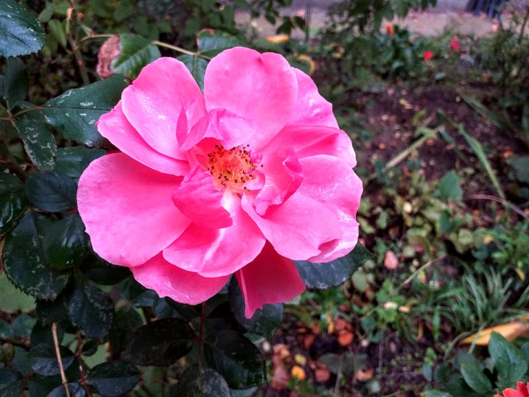 20221029_145205.jpg