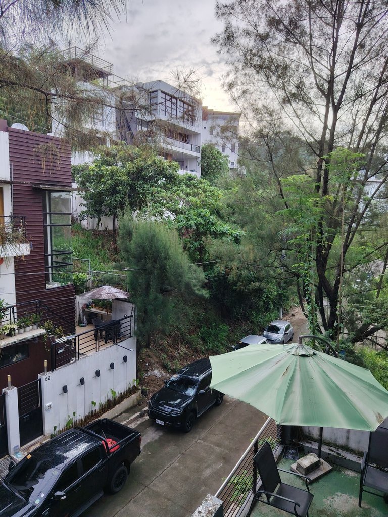 A peaceful morning view from my terrace