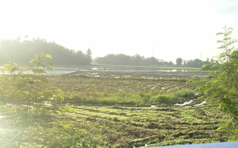 The farmland that tells our family’s story