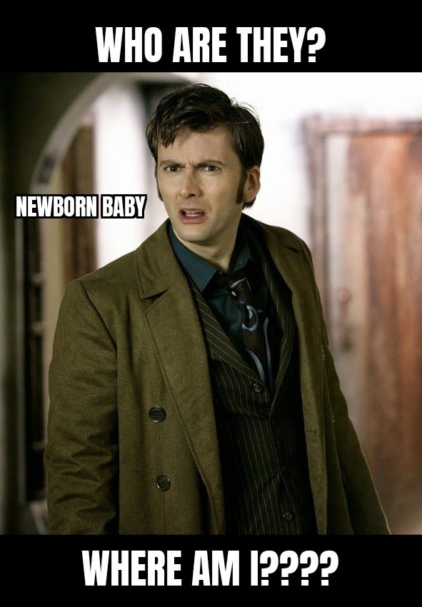 Doctor Who 14092022223955.jpg