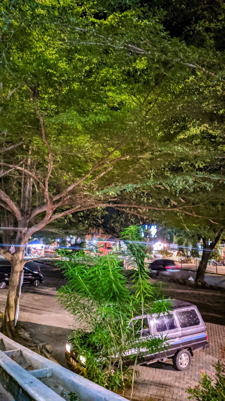 PXL_20250407_202223775.NIGHT.jpg