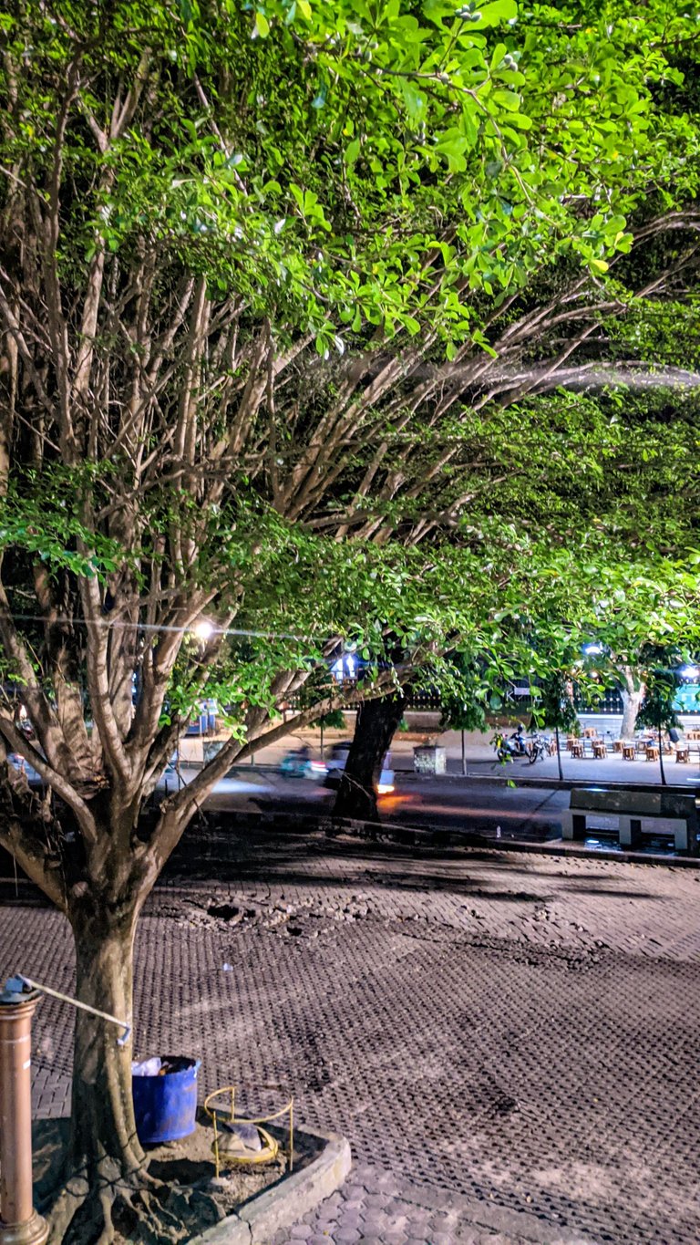PXL_20250407_202159610.NIGHT.jpg