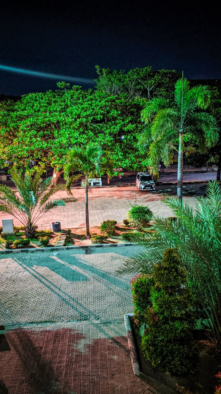 PXL_20250407_201841983.NIGHT.jpg