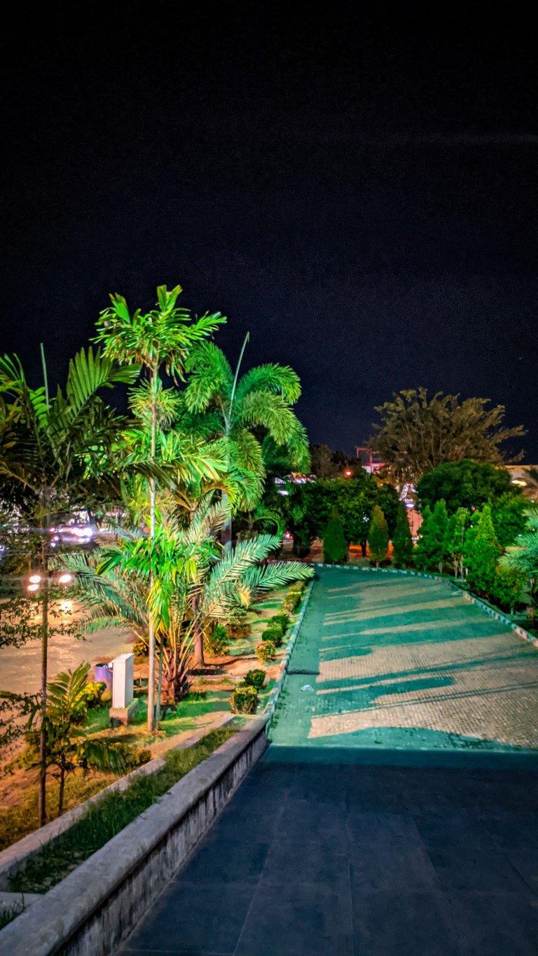 PXL_20250407_202127442.NIGHT.jpg
