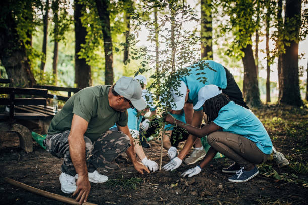 Tree Planting and Recycling - Two Ways to Save the World From Complete Destruction - Join the Recycling Revolution and Everyone Plant One Tree