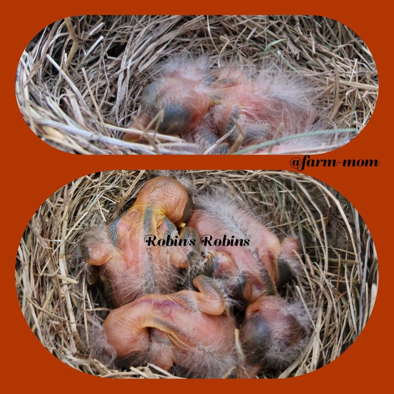 Etsy Item Listing Photo (38).png
