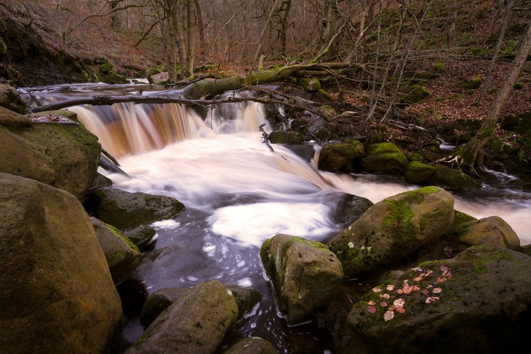 Padley-Flowing1.jpg