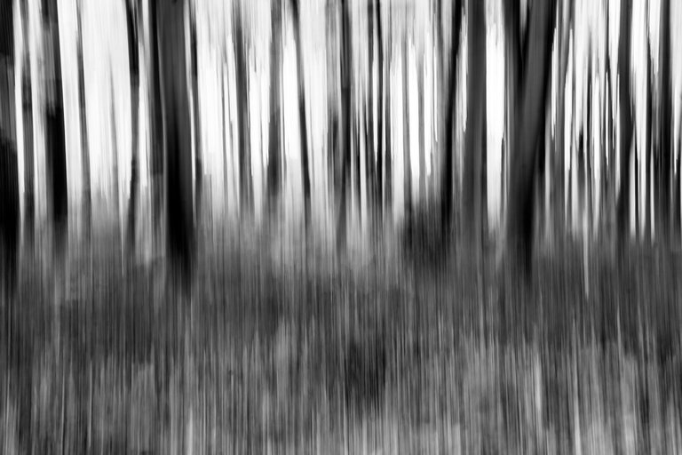 ICM-mono.jpg