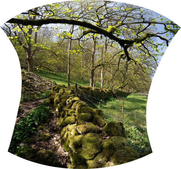 Untitled_Panorama-unedited1.jpg