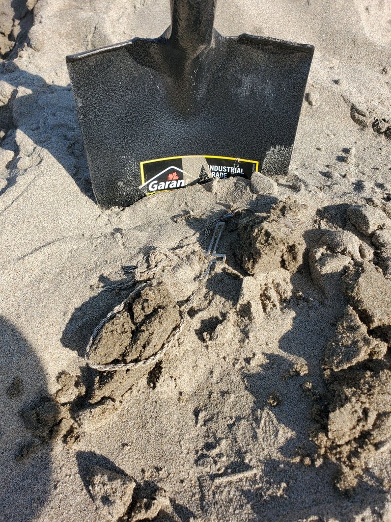 20230605_093942.jpg